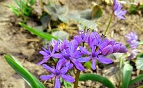 【精华】2021年治愈系早安问候语语录大汇总55条