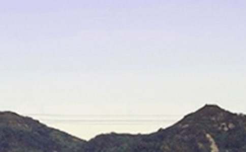 2021年通用温暖的早安问候语语录大合集61句