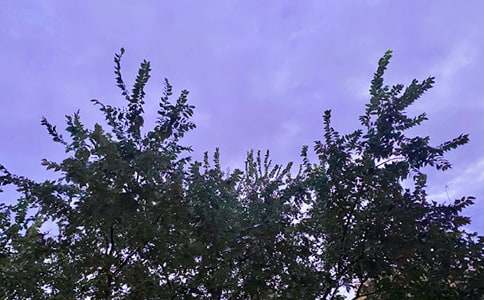 有关每日一签早安问候语