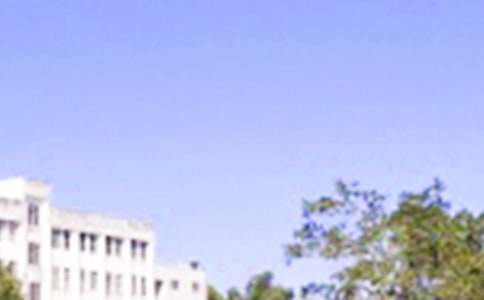 【推荐】温暖的早安问候语汇总66条