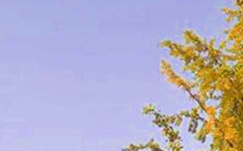 经典早安问候语20句