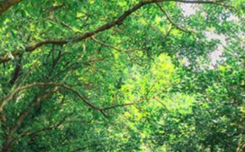 【热门】美好的早安问候语语录集锦31条