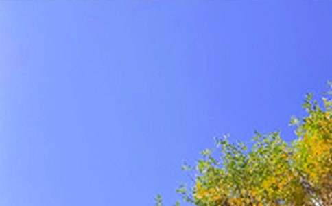 2024年每日一句早安QQ问候语合集62句