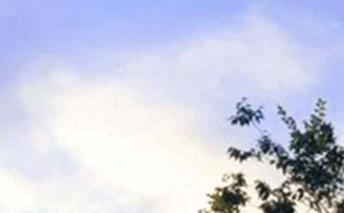 ΢���簲�������ʺ���