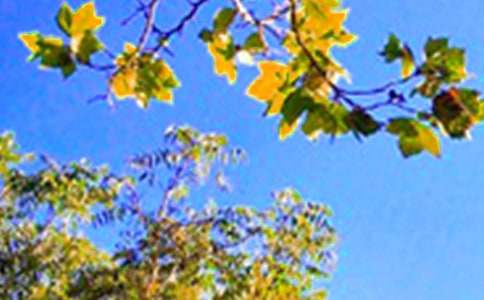 简单的温馨的早安问候语语录合集35条