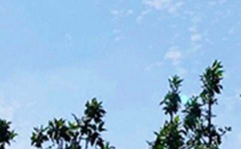 【必备】2022年每日一签早安问候语语录32条