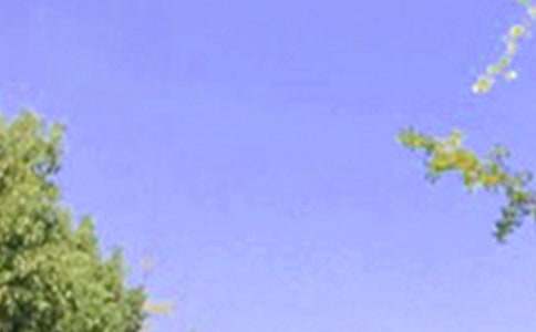 精选温馨的早安问候语语录汇总59条