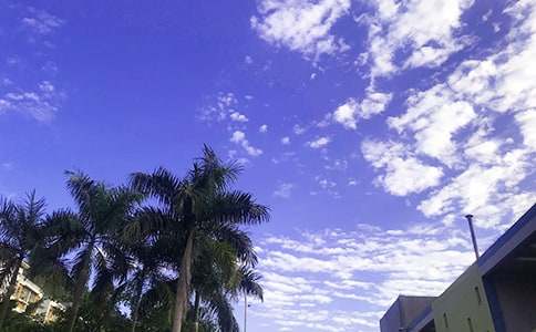 2024年通用优美的早安问候语45条