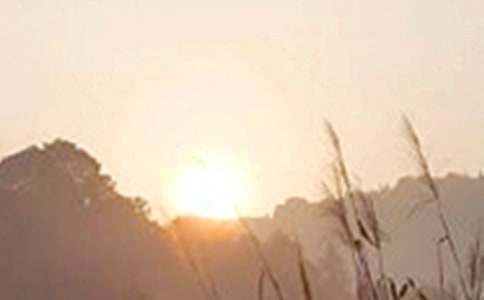 2021����ů���簲�ʺ�����¼38��