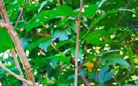 ����ܰ�簲�ʺ������90�侫ѡ