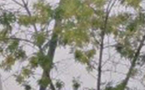 2021年通用美好的早安问候语语录20句