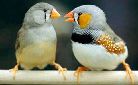 �������񡷵ڶ���ʱ��ѧ���(7ƪ)