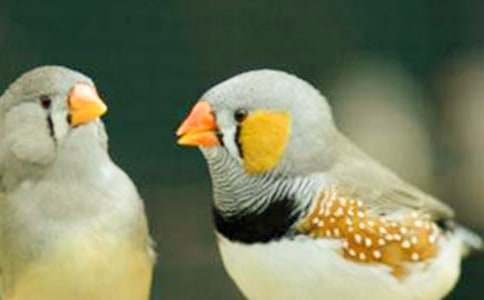 �������ѧ��ƻ��15ƪ