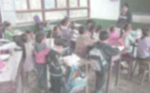 个人支教实习工作总结(通用10篇)