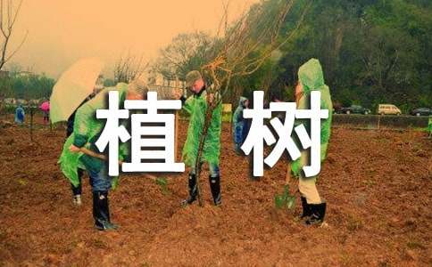 [��ѡ]���꼶��ֲ�����⡷��ѧ���