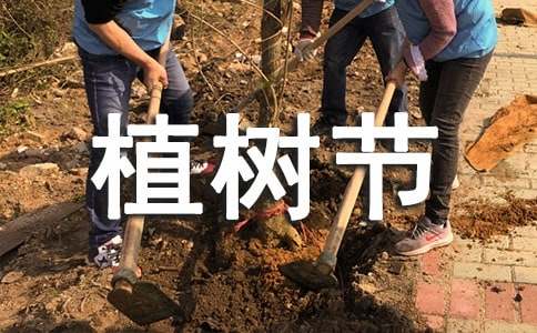 小学植树节活动总结