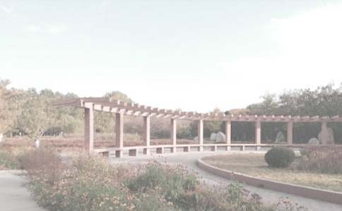 ֲ��԰�ۺ��14ƪ