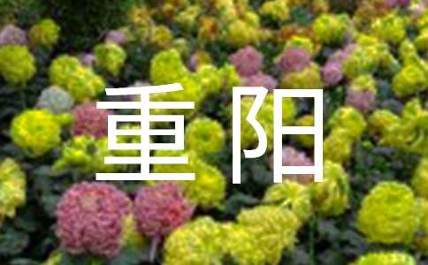 九九重阳老年节活动主持词(精选10篇)