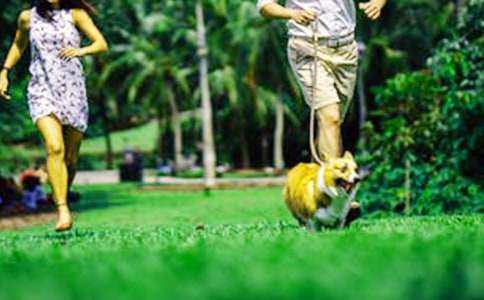 申请周末离校申请书