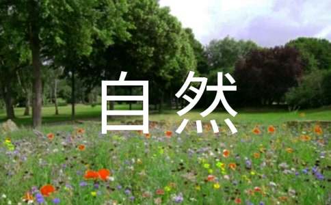 ��Ȼ֮��˵�θ����Ȼ������˵�θ�