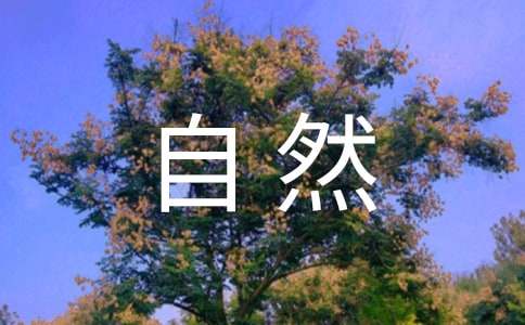 ��������Ȼ���ۺ�У�ͨ��21ƪ��