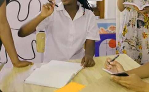 ʵ��������ܽ᷶��