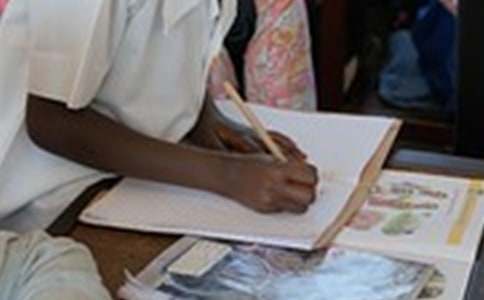 小学的作文(集合)