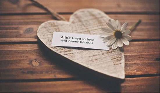 爱情保证书汇编【15篇】