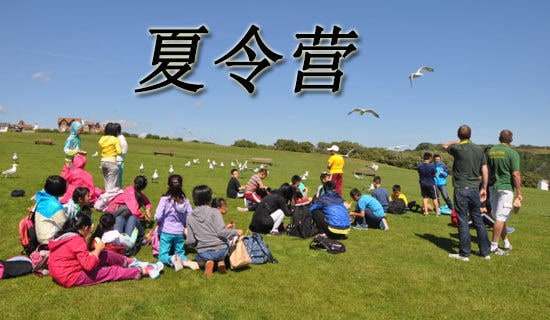 ������������Ӫ�����ģ�����7ƪ