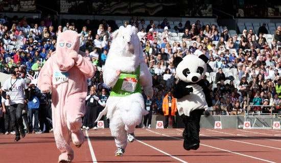 �׶�԰�����˶����ܽ᡾����