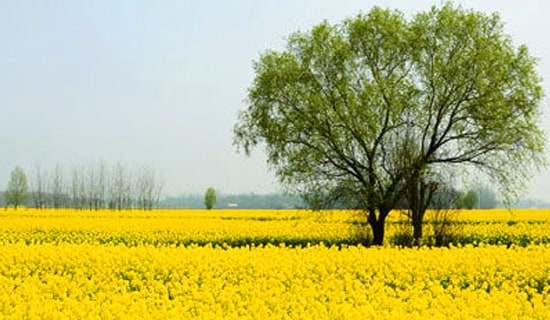 班级春游活动总结精选15篇