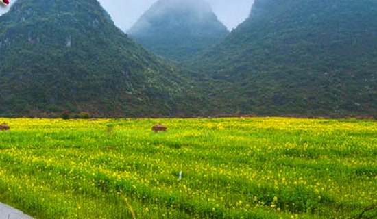 最新的春游踏青活动策划书